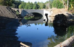 Award-Winning Beaver Creek Habitat Restoration Launches Fish Passage Work