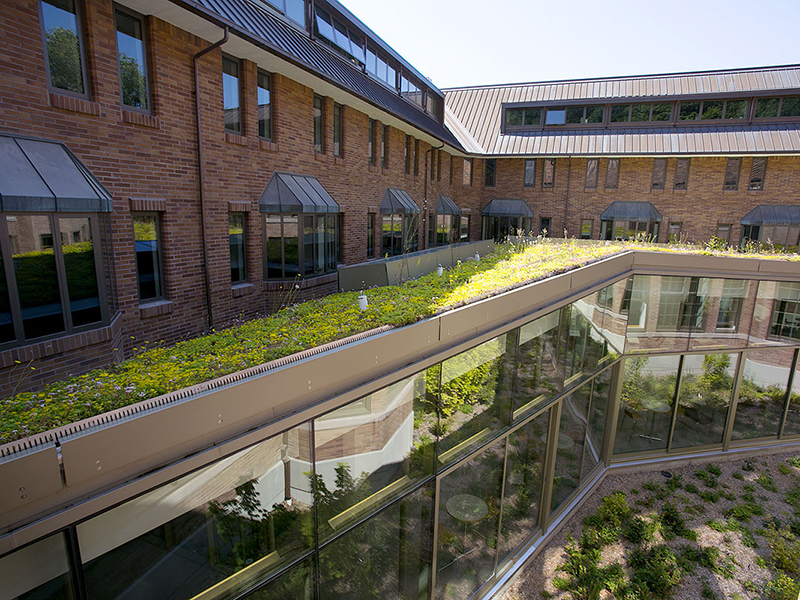 WWU Renovation Earns LEED® Gold Certification