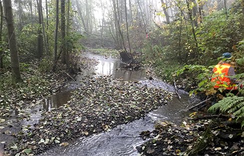 Newport Way Culvert and Roadway Improvements